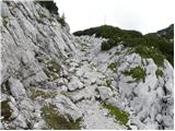 Kraljev dol - Kocbekov dom na Korošici